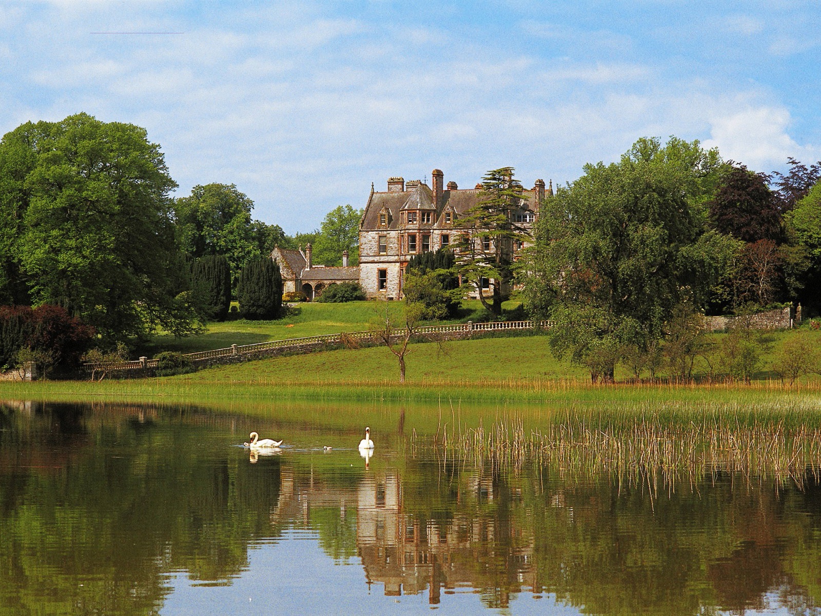 Irish Castle with Swans on Lake