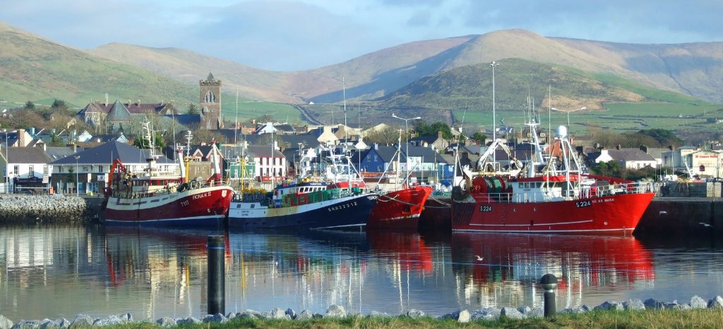 Ireland Self Drive Vacations - Dingle Harbour