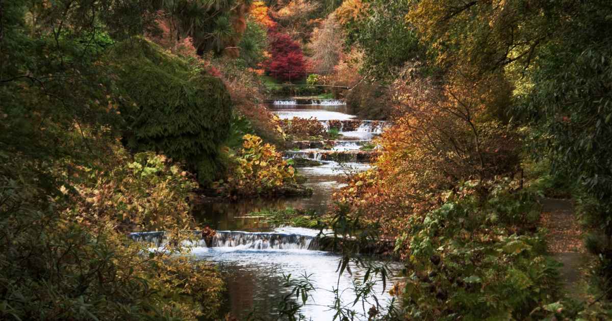 The River Vartry flowing through Mount Usher Gardens in County Wicklow, Ireland, surrounded by vibrant fall foliage, cascades, and trees in shades of gold, orange, and red.